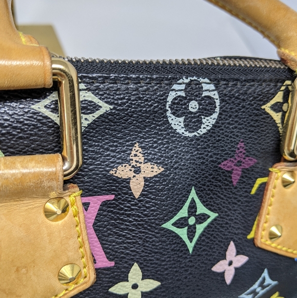 Louis Vuitton Speedy Handbag Multicolor Black 30 - Picture 9 of 15